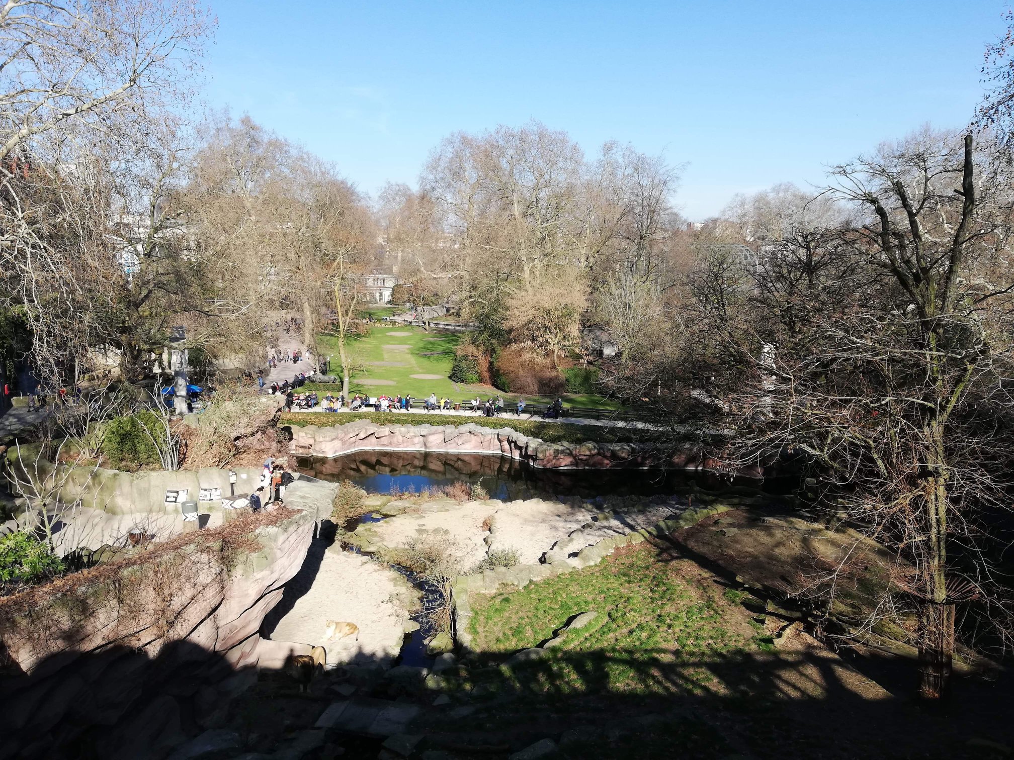 Sint-Martinus den XIIde - Zoo Antwerpen Kapoenen